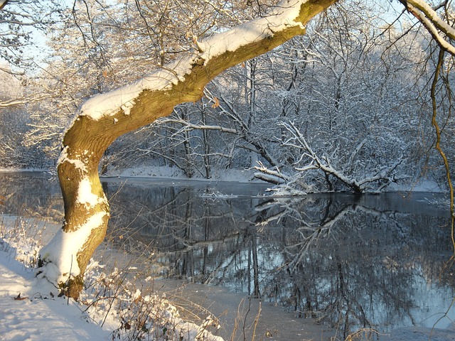 mise-en-miroir-de-la-neige-belle-riviere-gelee-hiver-arbre_121-74619